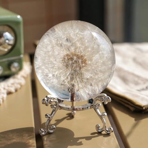 Real Dandelion Paperweight 60mm with Stand