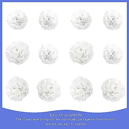 Hocansen 12Pcs Tissue Paper Pompoms 10in 12in White Decorations