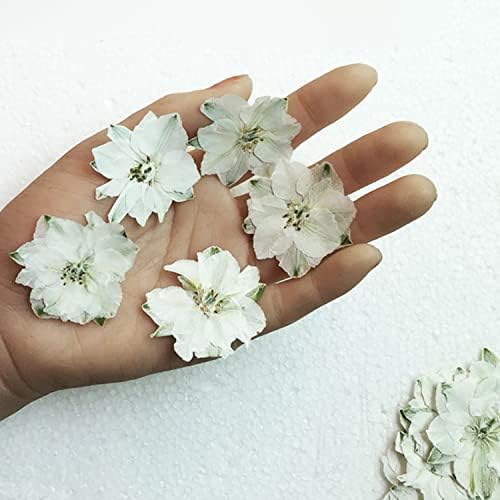 Pressed Dried Delphinium Flowers 30 PCS White Resin Art Supplies