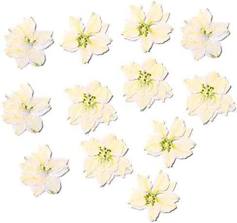 Pressed Dried Delphinium Flowers 30 PCS White Resin Art Supplies