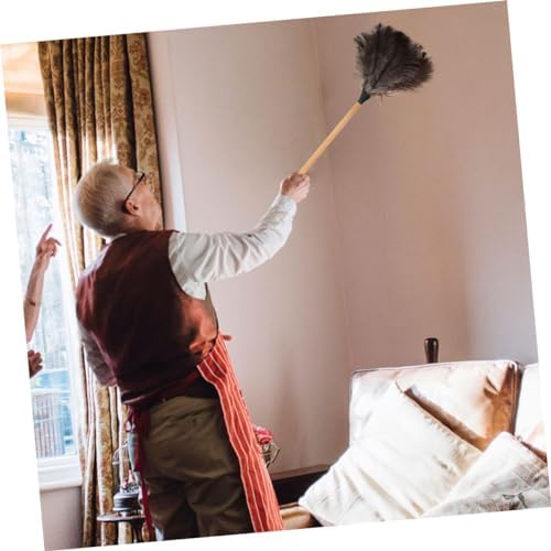 2pcs Feathered Duster with Random Handle for Furniture Cleaning