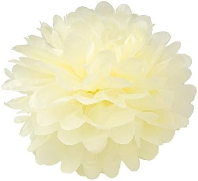 Fascola 12 Pcs Mixed Paper Lanterns and Flowers Decor Kit