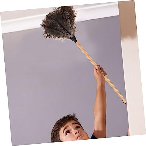 2pcs Feathered Duster with Random Handle for Furniture Cleaning