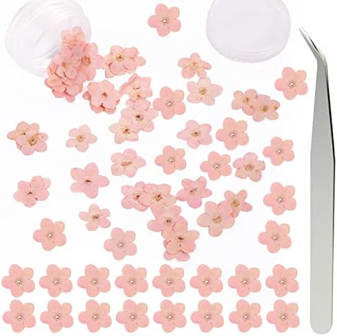 DREMISI 50Pcs Pink Forget Me Not Dried Flowers for Resin Jewelry