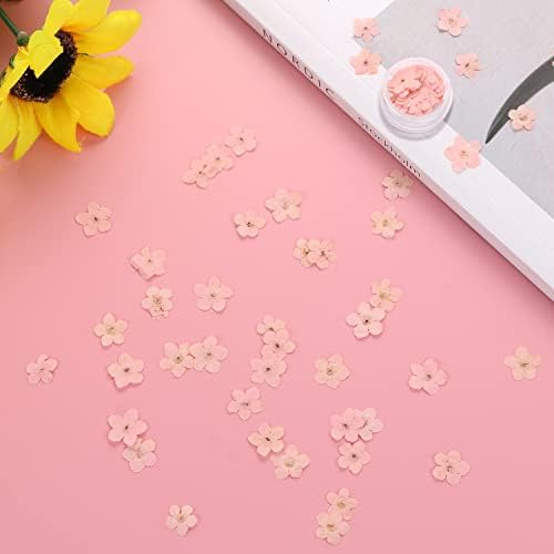 DREMISI 50Pcs Pink Forget Me Not Dried Flowers for Resin Jewelry