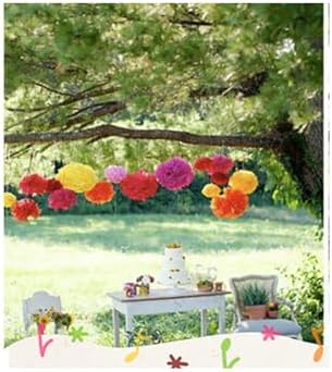 20 Pcs Tissue Paper Pom Poms 79 Party Decor Balls