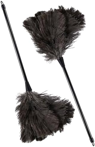 2pcs Feathered Duster with Random Handle for Furniture Cleaning