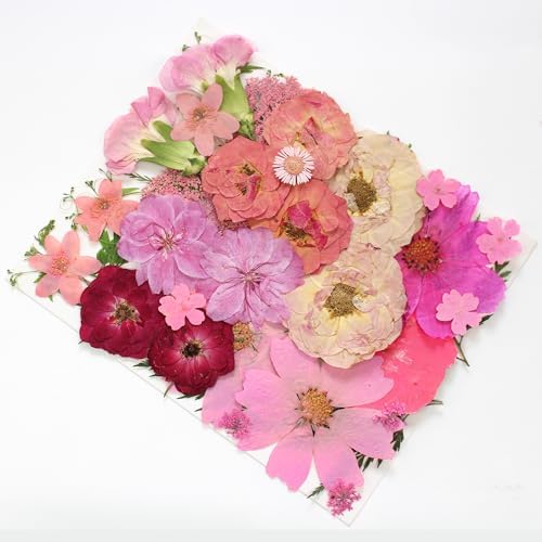 OECCO Large Pink Dried Pressed Flower for Resin Craft