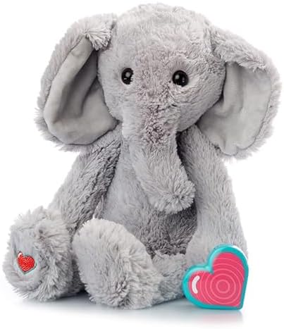 My Babys Heartbeat Bear Digital Voice Recorder