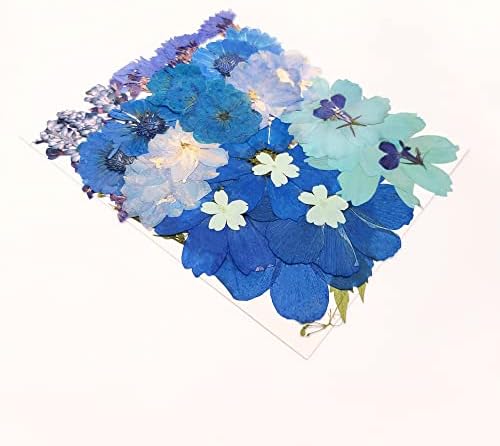 OECCO Large Blue Dried Pressed Flowers for Resin Crafting