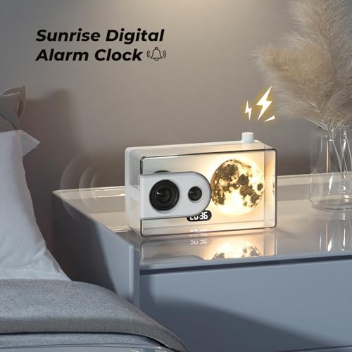 Portable Bluetooth Speaker with Lights and Subwoofer