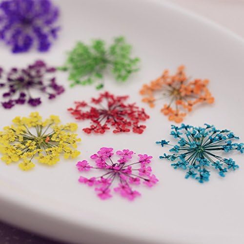 72pcs 3D Dried Flowers for Nail Art and Resin Casting
