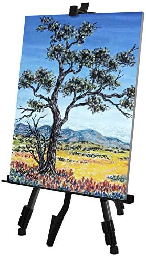 VViViD Black Aluminum Adjustable Display Easel with Carrying Case 64