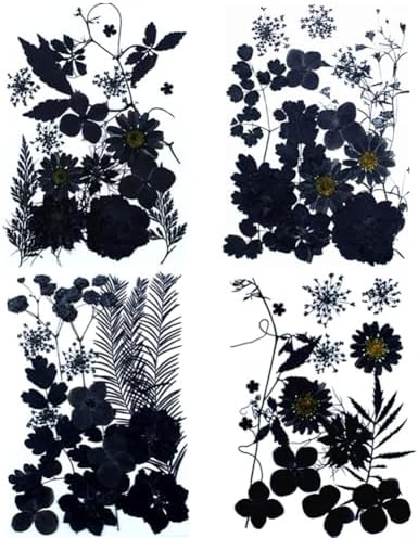 ikasus Black Pressed Dried Flowers for DIY Crafts and Resin Art