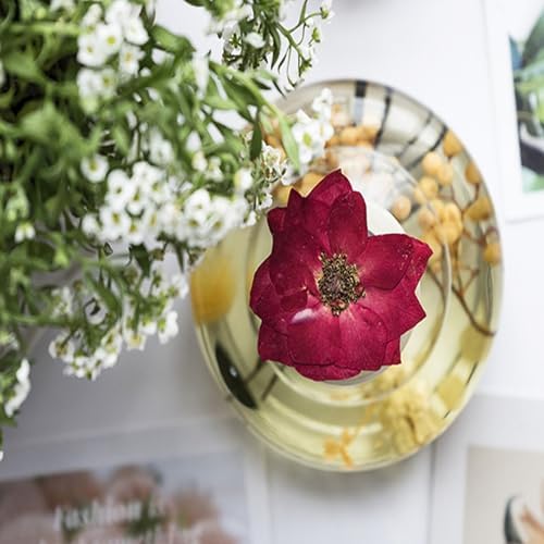 TopFunny 40 Pcs Resin Dried Flowers for DIY Art Crafts