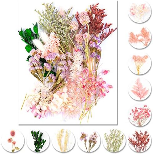 Vignee Real Dried Pressed Leaf Flowers Light Pink