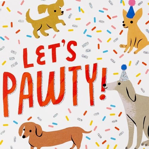 Hallmark Assorted Birthday Cards 20 Pack