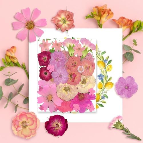 OECCO Large Pink Dried Pressed Flower for Resin Craft