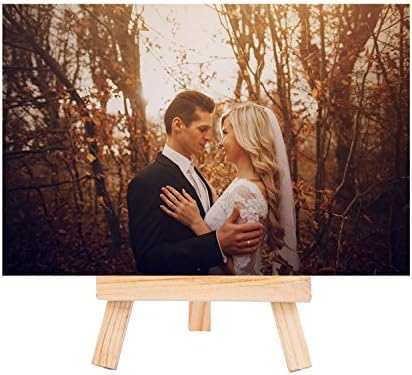 eBoot 24 Pack Mini Wood Display Easel 5 Inch