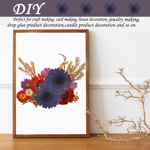 ALJ Large Purple Dried Sunflowers for Resin Crafts