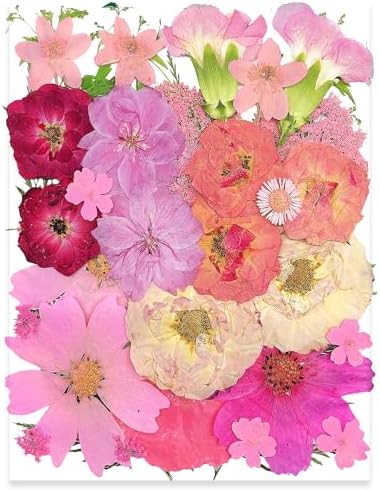 OECCO Large Pink Dried Pressed Flower for Resin Craft