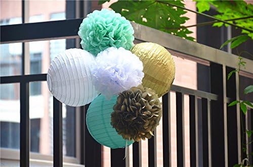 Fascola 6 Piece Paper Lantern and Tissue Flower Set