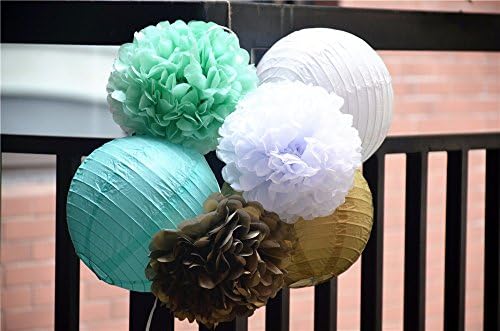 Fascola 6 Piece Paper Lantern and Tissue Flower Set