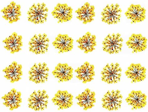 72pcs 3D Dried Flowers for Nail Art and Resin Casting