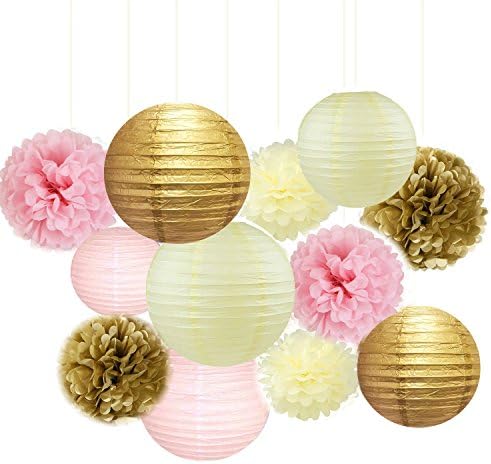 Fascola 12 Pcs Mixed Paper Lanterns and Flowers Decor Kit