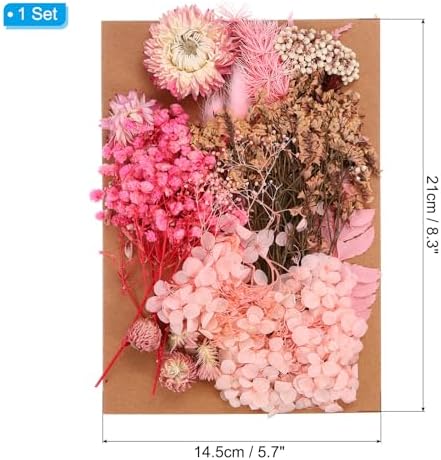 PATIKIL Pink Pressed Flowers for Craft and DIY