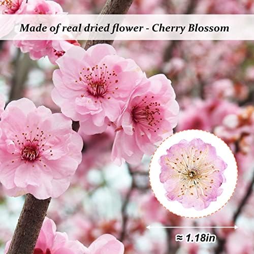 60PCS Pink Dried Cherry Blossom Flowers for Resin Crafting and Candle Making