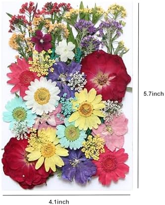 TopFunny 40 Pcs Resin Dried Flowers for DIY Art Crafts