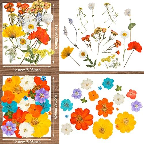 Nuanchu Dried Pressed Flowers for Resin Crafts DIY Decorations