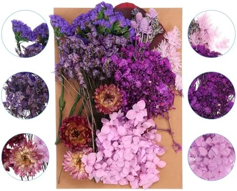 PATIKIL Purple Pressed Flowers for Resin Soap Candle Scrapbooking DIY Gift Papermaking