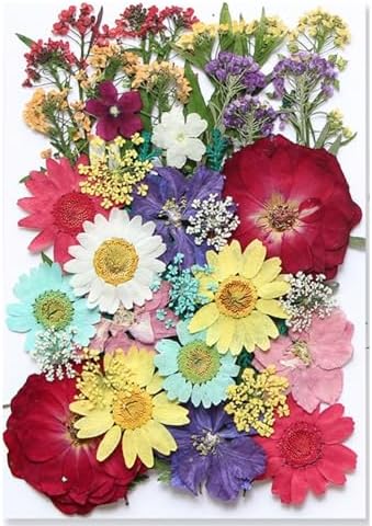 TopFunny 40 Pcs Resin Dried Flowers for DIY Art Crafts