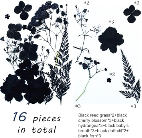 ikasus Black Pressed Dried Flowers for DIY Crafts and Resin Art