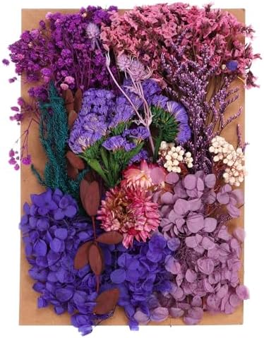 PATIKIL Dried Pressed Flowers for DIY Crafts and Resin