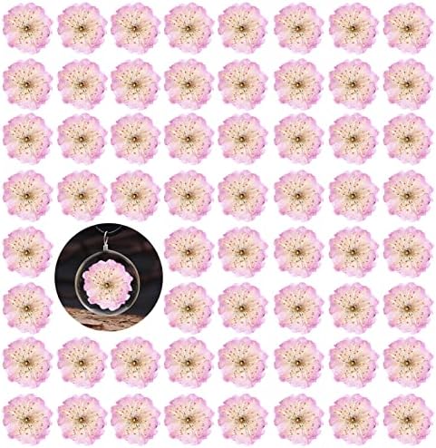 60PCS Pink Dried Cherry Blossom Flowers for Resin Crafting and Candle Making