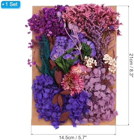 PATIKIL Dried Pressed Flowers for DIY Crafts and Resin