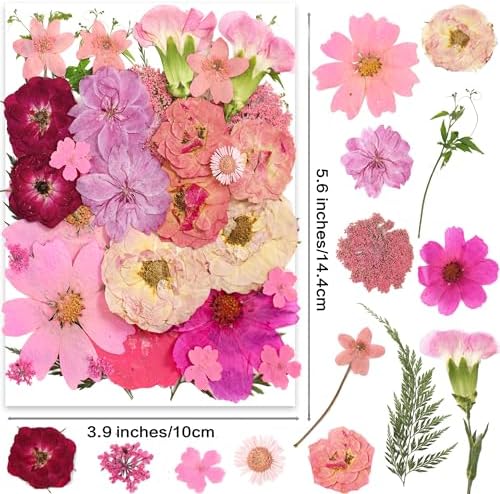OECCO Large Pink Dried Pressed Flower for Resin Craft