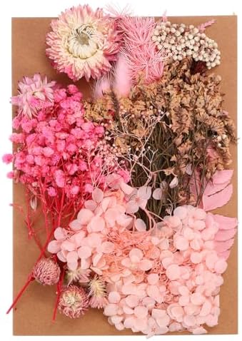 PATIKIL Pink Pressed Flowers for Craft and DIY