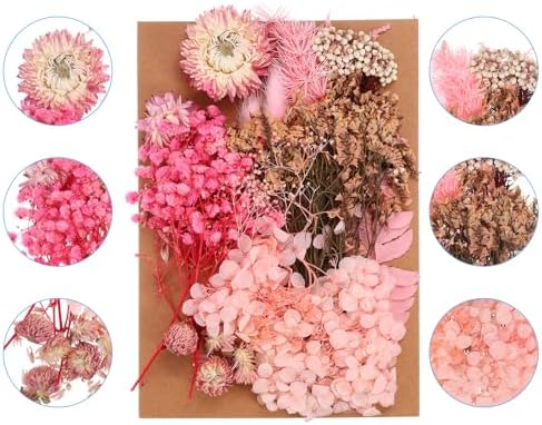 PATIKIL Pink Pressed Flowers for Craft and DIY
