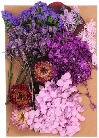 PATIKIL Purple Pressed Flowers for Resin Soap Candle Scrapbooking DIY Gift Papermaking
