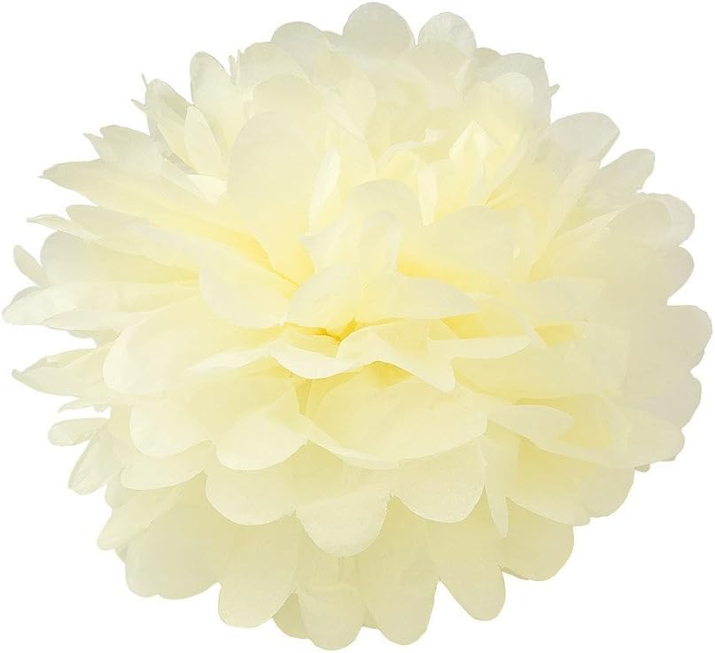 Fascola 12 Pcs Mixed Paper Lanterns and Flowers Decor Kit