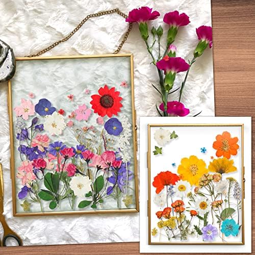 Nuanchu Dried Pressed Flowers for Resin Crafts DIY Decorations