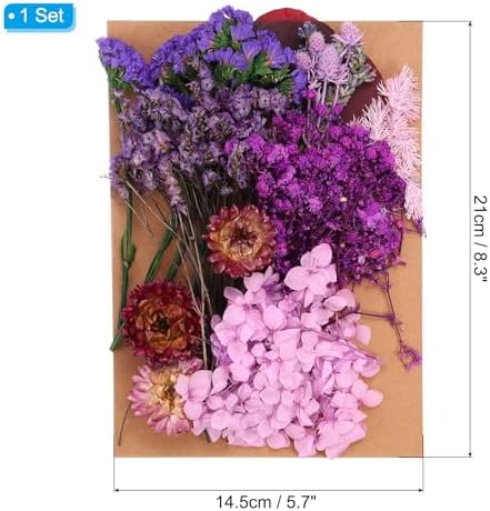 PATIKIL Purple Pressed Flowers for Resin Soap Candle Scrapbooking DIY Gift Papermaking