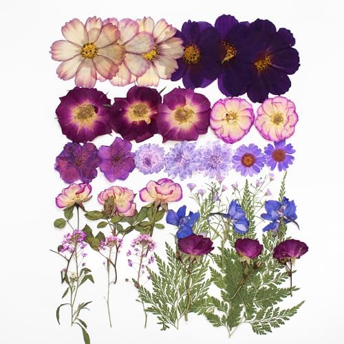 OECOO Purple Dried Pressed Flower for Resin Crafts