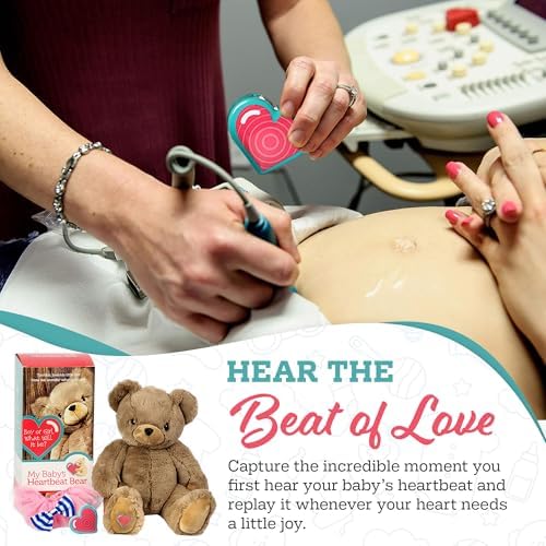 My Babys Heartbeat Bear Digital Voice Recorder