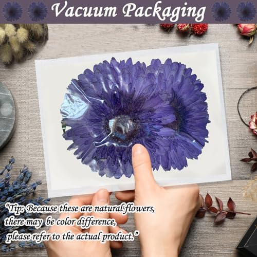 ALJ Large Purple Dried Sunflowers for Resin Crafts