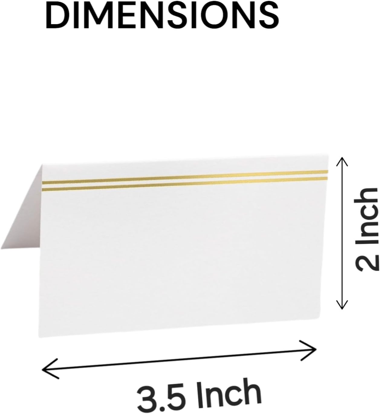 EVASTER Place Cards with Gold Foil Border Pack of 100